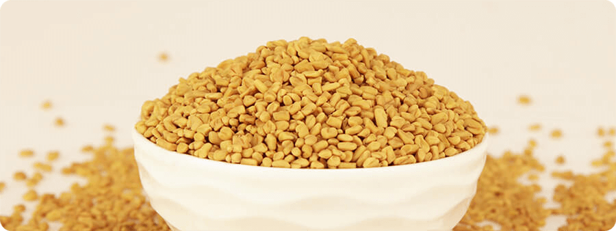 images of Fenugreek - Bold