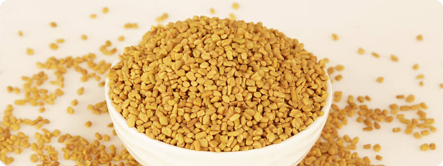 images of Fenugreek - Medium
