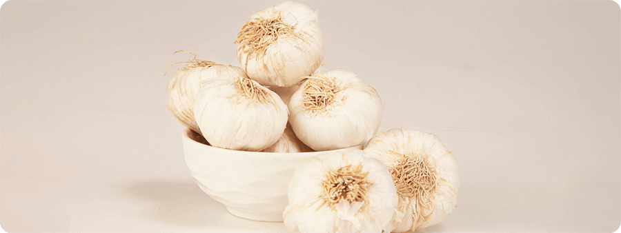 image of Garlic