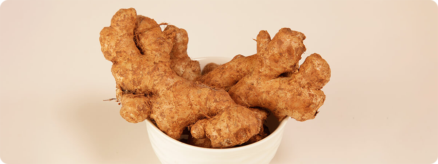 image of Ginger