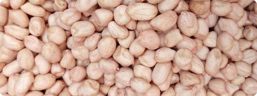image of Groundnut Seed