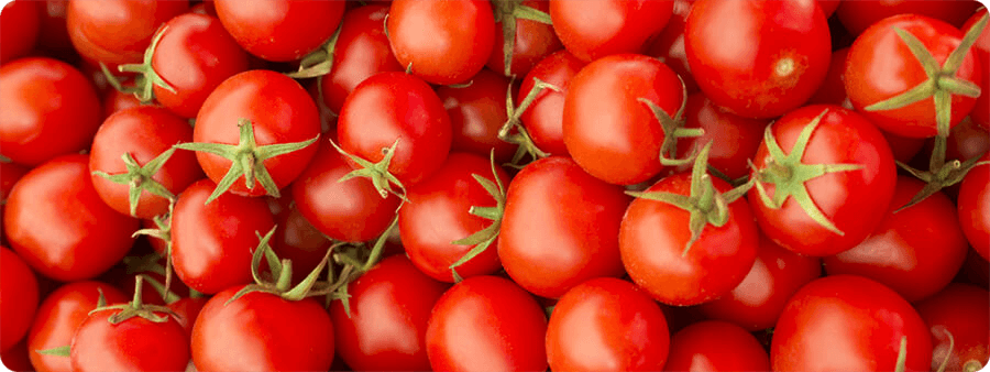 image of tomatoes