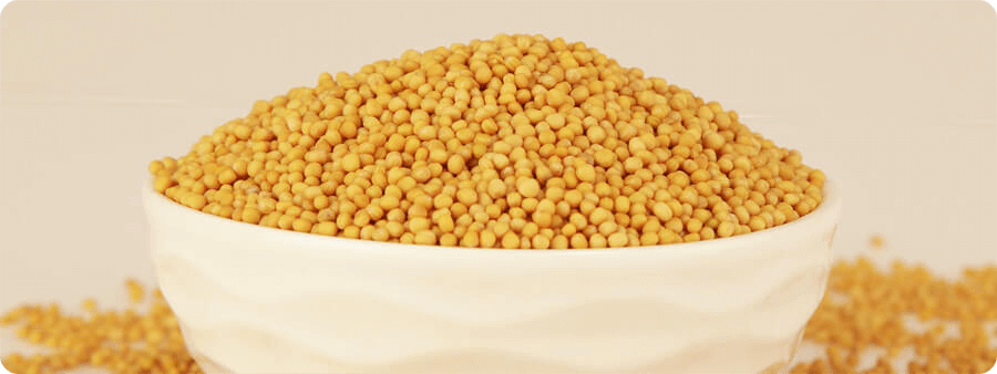 image of Yellow Mustard