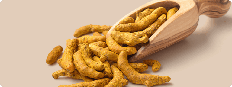 Turmeric Exporters from India – NK Agro